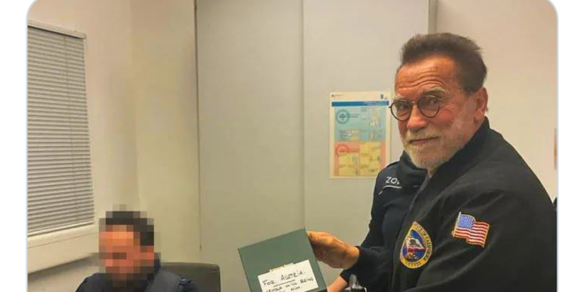 Arnold Schwarzenegger is detained at airport in Germany and interrogated after he failed to declare an Audemars Piguet watch in his bag