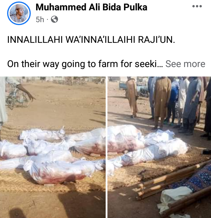Boko Haram IED kills 7 farmers, injures others in Borno (graphic photos)