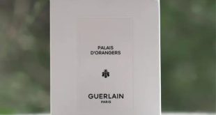 Guerlain Palais D'Orangers Candle Review | British Beauty Blogger