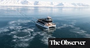Polar bears, melting glaciers – and a blues festival: my wild week on Svalbard
