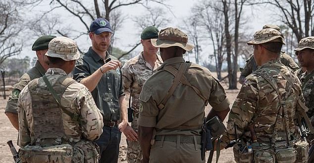 Prince Harry faces calls to quit his role in a conservation charity accused of operating an armed militia in Africa
