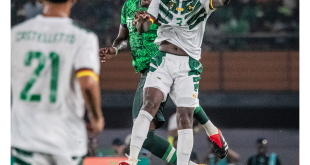 The Exciting AFCON Experience: Super Eagels Takes Fans on an Unforgettable Journey