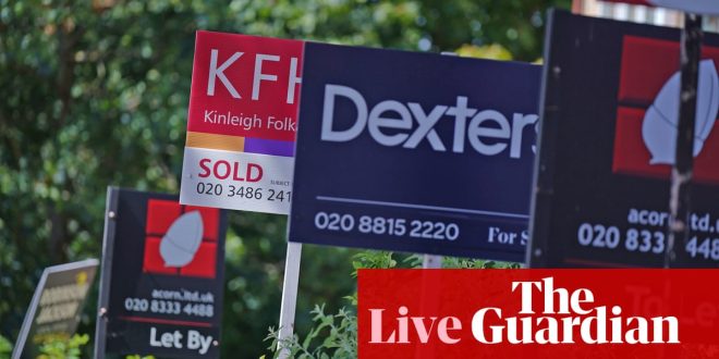 UK house prices rise in January, Novo Nordisk obesity drug sales surge – business live
