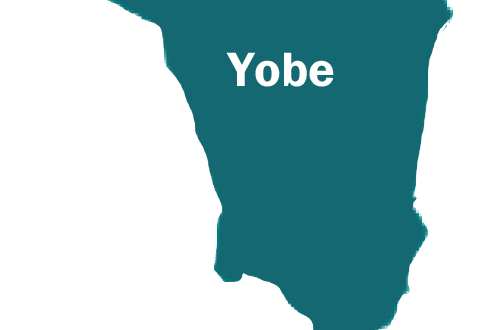 Yobe government revokes licenses of all private schools
