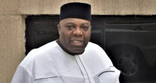"You?re a ?food is ready politician" - Labour Party blasts Doyin Okupe