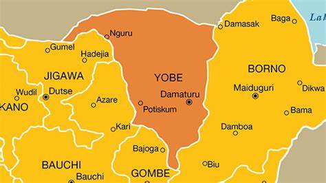 20 students confirmed dead following outbreak of meningitis in Yobe state