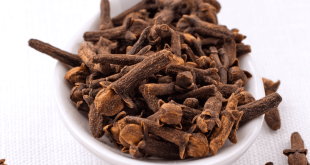 6 sexual benefits of cloves for men and women