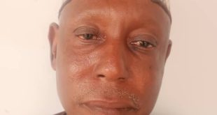 Adamawa police arrest man who
