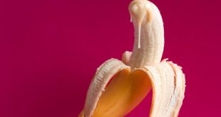 Does frequent ejaculation prevent prostate cancer in men?