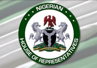 House of reps members propose change from presidential to parliamentary system
