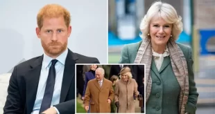 Prince Harry 'did not want to be in the same room' as Queen Camilla when he spoke to the King about cancer diagnosis, sources claim