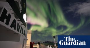 ‘It is magical to swim surrounded by the Arctic winter in all its brutal glory’: an eco cruise in Norway’s far north