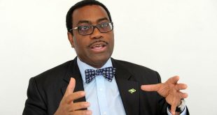 AfDB supports Nigeria with $134m to cultivate rice, maize, cassava, soybeans