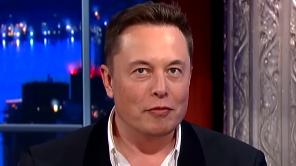 Elon Musk: If Democrats Win In 2024 They'll Grant Amnesty To Illegal Aliens And Create A 'Permanent Socialist State'