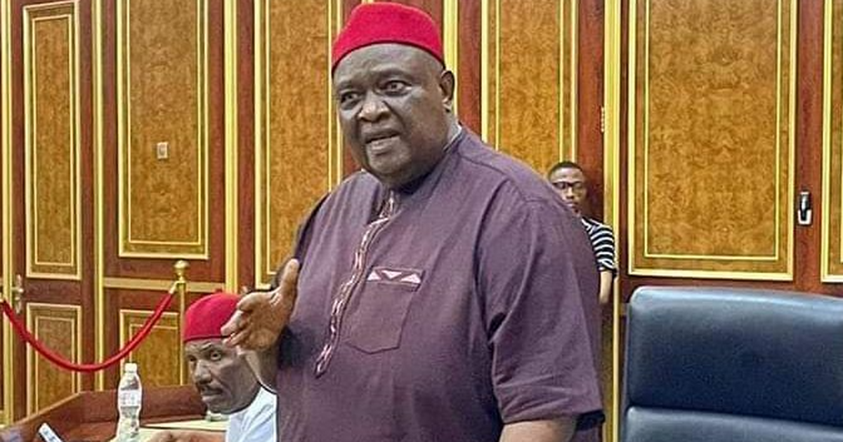 Every tribe in Nigeria is involved in drug trafficking - Ohanaeze defends Igbos