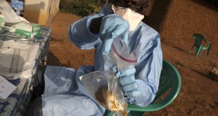 Four Lassa fever cases confirmed in Delta