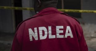 Fraudsters are impersonating our operatives to defraud Nigerians with families abroad - NDLEA raises alarm