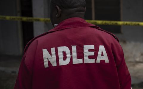 Fraudsters are impersonating our operatives to defraud Nigerians with families abroad - NDLEA raises alarm