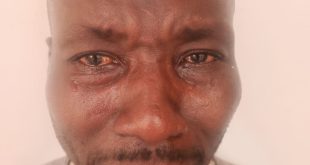 Man arrested for raping 9 year-old daughter in Adamawa, blames Alcohol and drugs