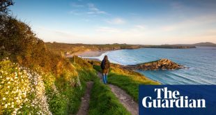 New life buzzes from all directions: why Pembrokeshire in spring is a nature-lover’s dream