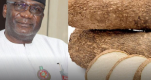 Nigerians may soon start importing Yam from China - Perm Sec Laments