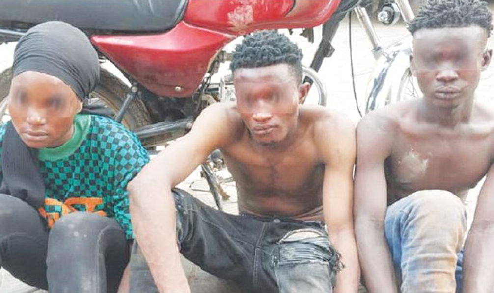 Ogun police nab three for murder attempt