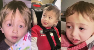 Police offer $40,000 for information as missing toddler