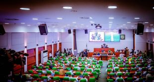 Reps want to increase fine for abusers of national flag from ₦100 to ₦100k