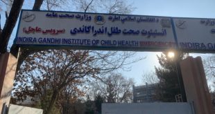 Taliban Rule Exacerbates Malnutrition Crisis: Afghan Women and Children Hardest Hit