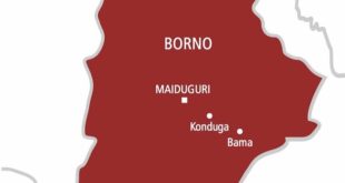 Two injured as suicide bomber detonates IED near mosque in Borno