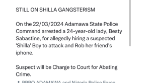 Woman arrested for allegedly hiring a criminal to rob her friend of her Iphone