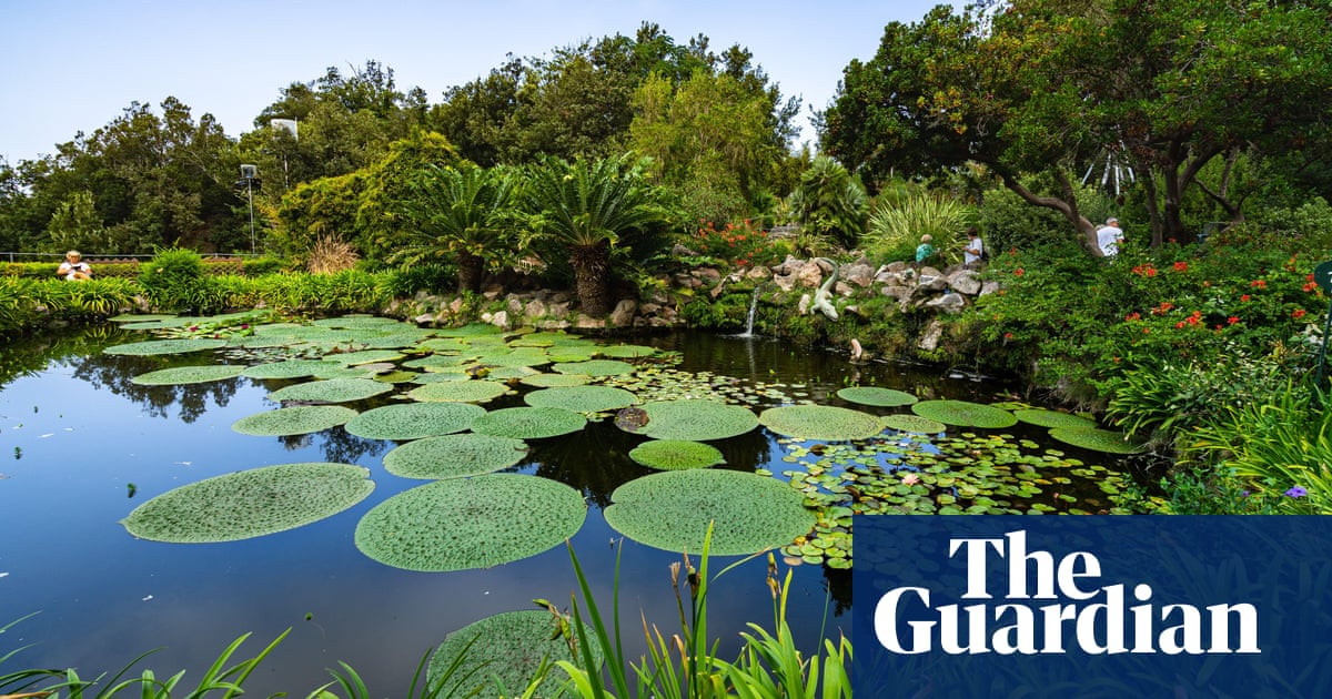 ‘I’ve never seen lily pads so big’: readers’ favourite gardens in Europe