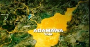 19 children die from measles complications in Adamawa state