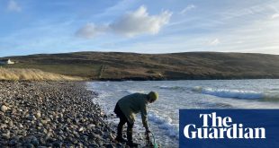 Beachcombing in Shetland: I’ve travelled the world without leaving home