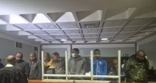 Court remands eight Nigerian men accused of attacking police officers in South Africa