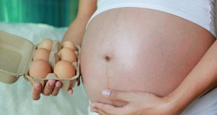 Does eating raw eggs cause abortions and miscarriages in pregnant women?