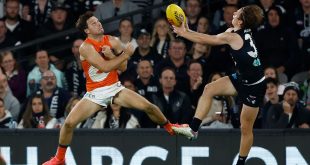 Giants' pair cop one-match bans in costly loss