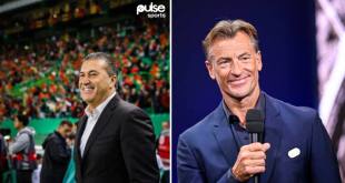 Nigeria’s bid to find Peseiro successor suffers set back as 3 more countries join chase for Herve Renard
