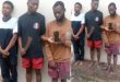 Traffic robbers who attacked DPO, stole her phone and left her with cutlass injury arrested in Lagos