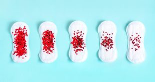 Why women's menstrual periods happen at the same time when they live together