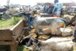70-year-old Ibadan butcher beaten to death