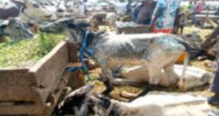 70-year-old Ibadan butcher beaten to death