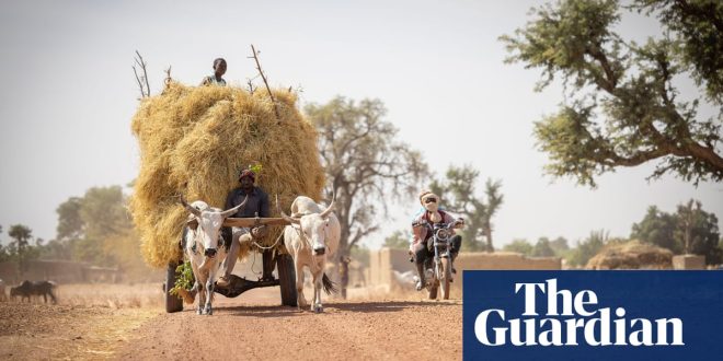 A drop in global GDP would be good for the planet | Letters