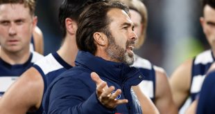 Cats coach meets with umpires after lengthy rant