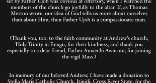 Chimamanda Adichie hails Catholic Priest in Cross River state as she compares his actions to the actions of an Igbo priest during her mother