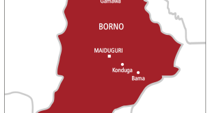 ISWAP terrorists kill 15 farmers in Borno