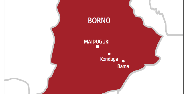 ISWAP terrorists kill 15 farmers in Borno