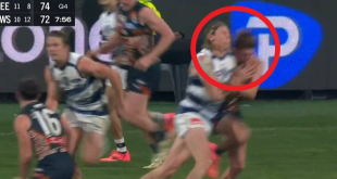 Kick in face for wounded Cats as two are cited by MRO