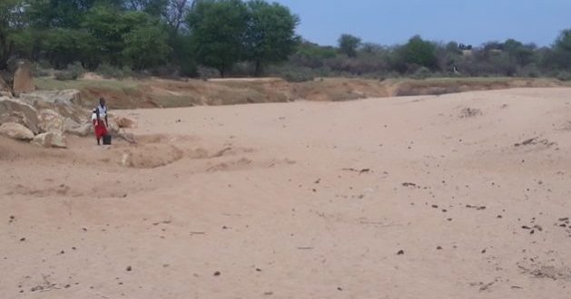 Rising Temperatures Drive Human-Wildlife Conflict in Zimbabwe
