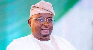 There are cabals and cartels in the power sector- Minister, Adebayo Adelabu, says